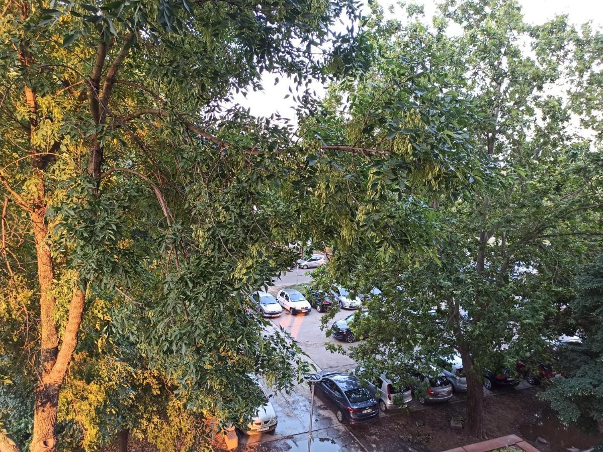 Feel Danube Apartment Zemun المظهر الخارجي الصورة